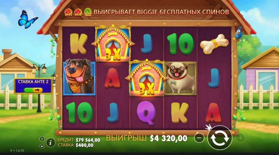 фото изображения слот The Big Dog House demo